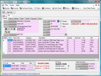 Invoice Software - Purchasing screen